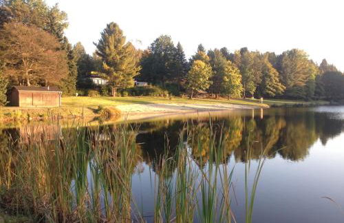 Hundeurlaub im Tiny House im Wald - Foto 65