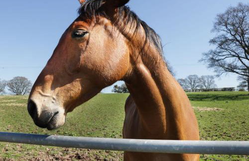 The Cider House - Photo 29