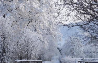 'chata usÓwek' - Foto 49