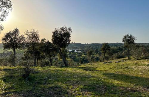 Herdade Terra rica - Photo 30
