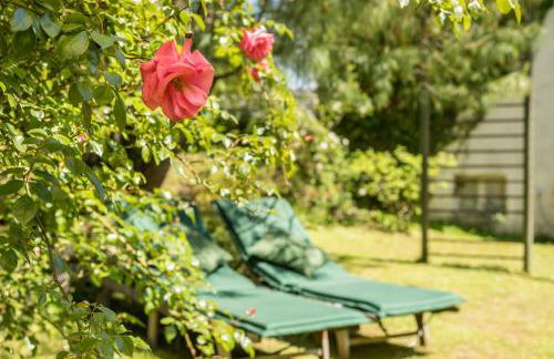 Ferienhäuschen Fischbach - Photo 27