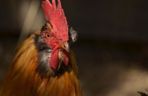 Avila Beach Retreat - Foto 40