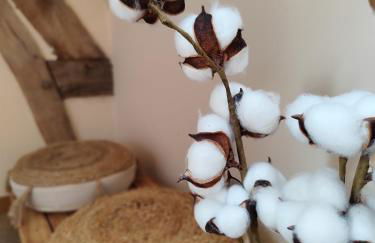 Beau soleil - Foto 13