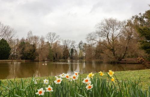 Woodpeckers - Photo 33