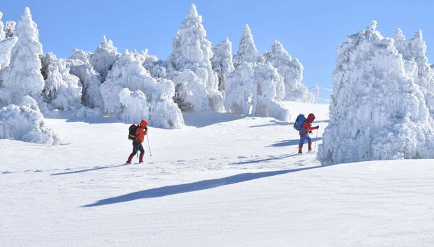 Balade en raquettes à neige