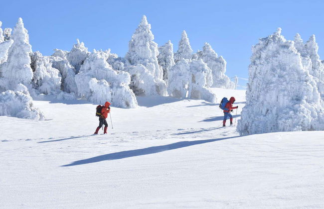 Balade en raquettes à neige dans la Sierra Nevada de Granada - Photo 2