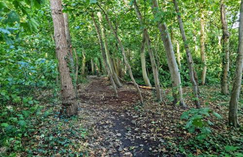 Stone's throw from beach and forest, stunning country walks - Foto 35