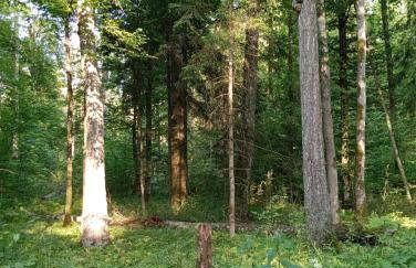 Dom na wsi u Kasi HAJNÓWKA BIAŁOWIEŻA NA WYŁĄCZNOŚĆ - Foto 43