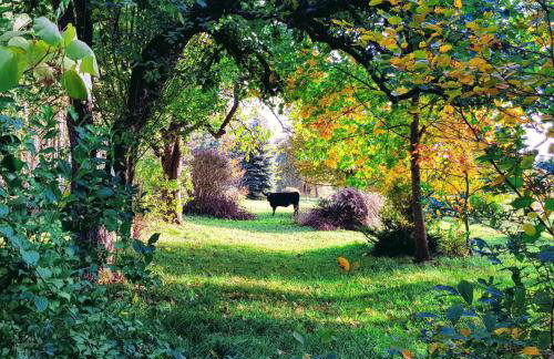 Willa Reglówka Stylowy dom Pachnący ogród - Foto 3