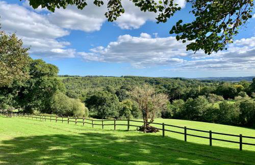 Fern Gully Lodge with Hot Tub - Spa Resort - Devon - Foto 25
