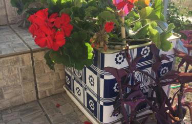 Evilion house inTholo. Sea, nature, relaxation! - Foto 39