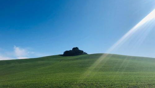 Casa delle More - Foto 5