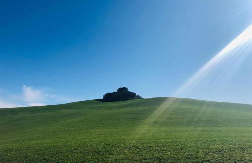 Casa delle More - Foto 5