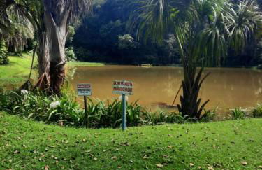 Chácara Recanto Feliz - Foto 28