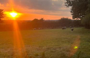 Swallows Return - Foto 29