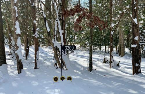 Sai Villa on Maurice River - Foto 33