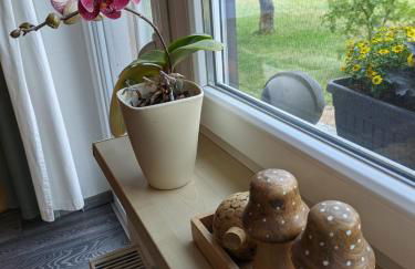 Idyll im Land der 1000 Seen - Foto 20