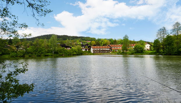 Am Hohen Bogen - Foto 5, House