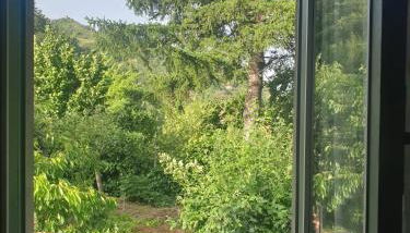 La Veranda - Foto 5, Garden, Garden view