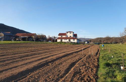 Apartmani Fenestra Tesla i Faust - Foto 36