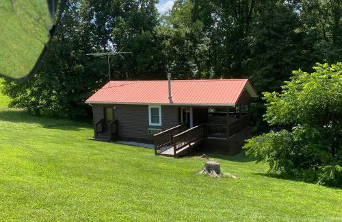 The Mockingbird - Foto 3