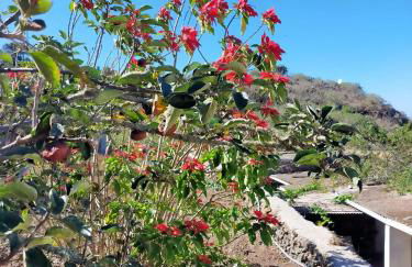 Casa Omaira y Nacho - Foto 9