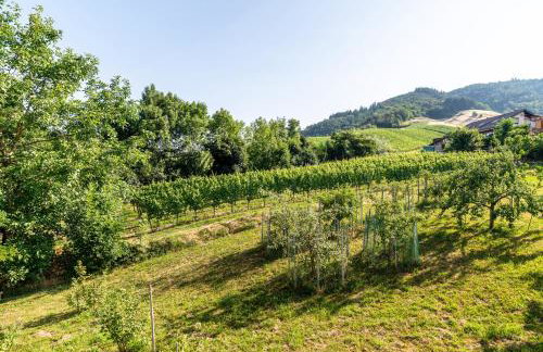 Ferienwohnung Liebich - Photo 33