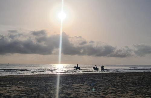 Oliva Moon - Photo 38