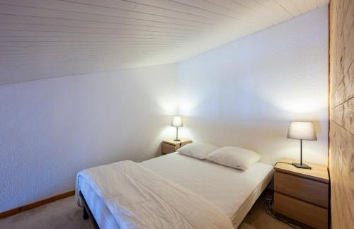 Lauziere dessus 50 - Photo 12