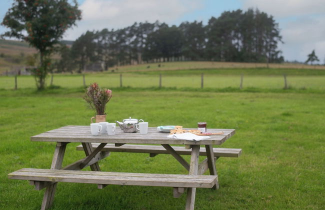 Brown Rigg Lodges - Photo 34