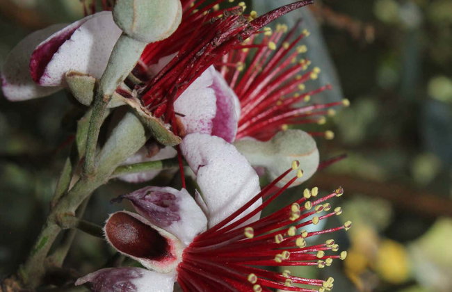 Tour privado por Envigado - Foto 6