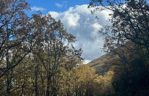 El Patio de los Naranjos - Photo 31