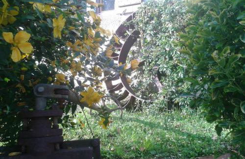 Amaiurko Errota - Foto 6