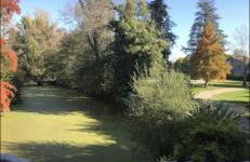 Grand gîte 23 couchages - Foto 31