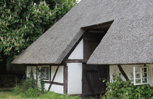 Ferienwohnung in Reddelich for 4 Personen - Foto 16