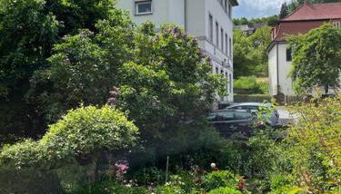 Wohnen im Fachwerk - Ferienwohnung Fenja - Foto 5, Garden, Garden view