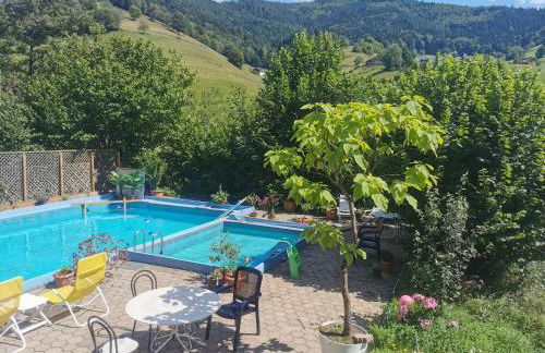 Ferienwohnung Vogelsang im Schwarzwald - Foto 31