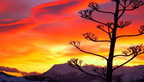 Agriturismo Bellavista - Foto 5