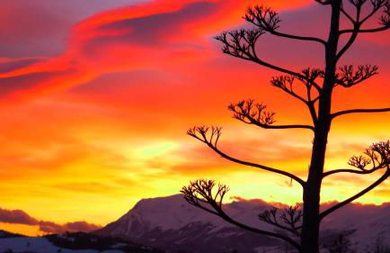 Agriturismo Bellavista - Foto 5