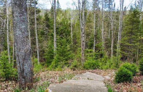 Steps to Sturgeon River! Dog-Friendly Nature Haven - Foto 24