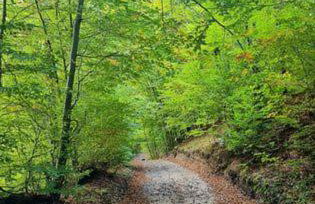 Widokówka Zacisze - Foto 23