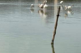 Casa Jeris - Foto 47