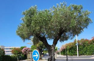 Duplex Camargue Village - Photo 50