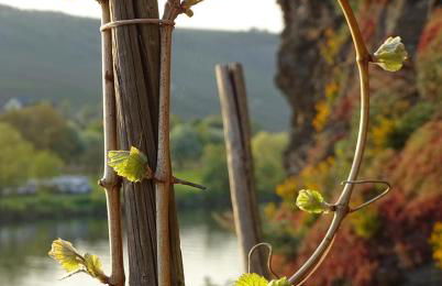 Ferienhaus Nicole - Foto 24