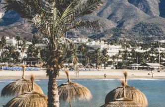 piso centrico en avenida principal - Photo 29