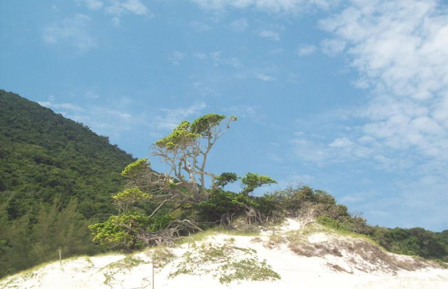 Sophia II Residence Inn - Foto 47