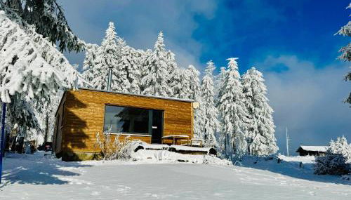 Tiny Chalet Stuga Am Rennsteig mit Kamin und Garten, Hunde Willkommen - Foto 5