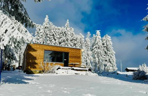 Tiny Chalet Stuga Am Rennsteig mit Kamin und Garten, Hunde Willkommen - Foto 5