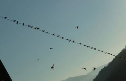 Berggasthaus Agritur Moserhof - Photo 20