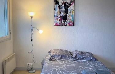Appartement double à Limoges - Foto 6